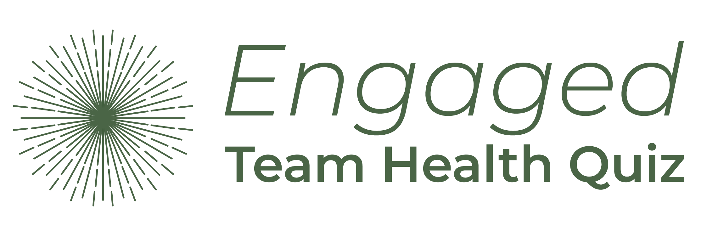 Engaged Team Health